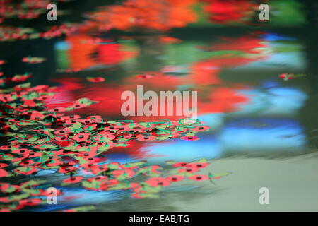 Swansea UK. Dienstag, 11. November 2014 im Bild: Mohnblumen in den Brunnen über eine Reflexion der rote Mohnblumen aus einem nahe gelegenen riesigen Bildschirm.  Re: Tag des Waffenstillstands beobachtet bei Castle Square Gardens, South Wales Swansea, UK Credit: D Legakis/Alamy Live News Stockfoto