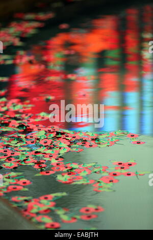 Swansea UK. Dienstag, 11. November 2014 im Bild: Mohnblumen in den Brunnen über eine Reflexion der rote Mohnblumen aus einem nahe gelegenen riesigen Bildschirm.  Re: Tag des Waffenstillstands beobachtet bei Castle Square Gardens, South Wales Swansea, UK Credit: D Legakis/Alamy Live News Stockfoto