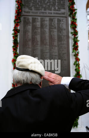 Brighton, UK. 11. November 2014. Mitglieder der RAF Police Association und Blind Veterans UK führen ein Guard of Honour Parade und zwei Minuten Stille am Bahnhof Brighton um 11:00 zum Tag des Waffenstillstands gedenken. Stockfoto