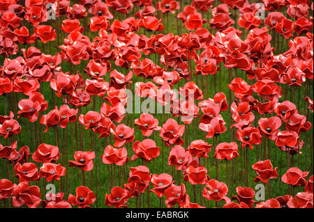 London, UK. 11. November 2014. Am Tag des Waffenstillstands am Tower of London, der letzte Keramik Mohn die 888.246 bestehend aus der 'Paul Cummins' Kunstinstallation "Blut Mehrfrequenzdarstellung Land und Meer von Red ist ein junger Kadett gepflanzt.  Jede Mohn ist ein britischer oder kolonialen militärische Todesfall im ersten Weltkrieg.  Im Bild: Nahaufnahme der Keramik Mohnblumen, einzeln handgefertigt und einzigartig. Bildnachweis: Stephen Chung/Alamy Live-Nachrichten Stockfoto