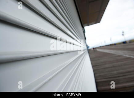 Fensterläden, außerhalb der Saison in Ocean City, New Jersey USA Stockfoto