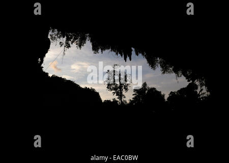 Großen Höhleneingang Niah Nationalpark in Sarawak, Malaysia Stockfoto