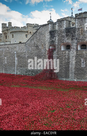 Anzeige der Keramik Mohn: Blut gefegt, Länder und Meere von rot. Tower of London, England Stockfoto