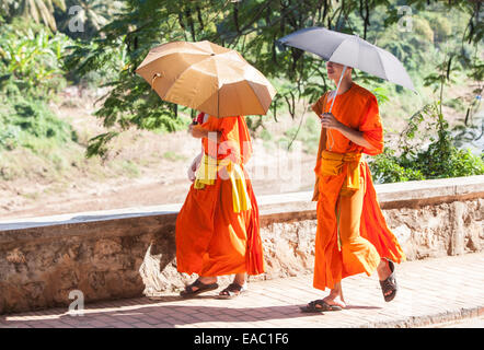 Buddhistische Mönche mit Sonnenschirmen zu Fuß durch Luang Prabang, Laos, Südostasien, Asien, Stockfoto