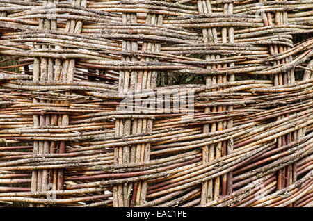 Nahaufnahme der Weide Weide Hintergrund Stockfoto