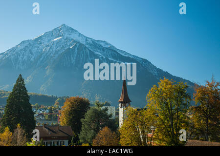 Die Stadt von Spiez und den Thunersee, Kanton Bern, Schweiz. Stockfoto