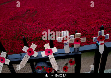 London,UK.11th November 2014. Tausenden kommt in den Tower of London anzeigen die Installation Blut Mehrfrequenzdarstellung Länder und Meere von Red am Tag des Waffenstillstands wann wurde die letzte rote Mohnblume von jungen Armee Kadett Credit gepflanzt: Amer Ghazzal/Alamy Live-Nachrichten Stockfoto