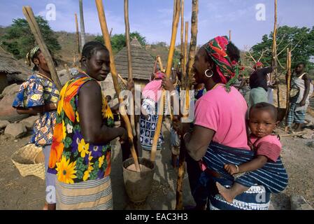 Frauen, die Plünderungen Hirse, Dorf Bedik Bassari-Land, Senegal, Westafrika Stockfoto