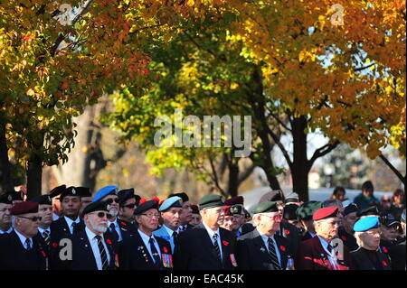 London, Ontario, Kanada. 11. November 2014. Hinter und anwesende Mitglieder der kanadischen Streitkräfte und die Öffentlichkeit versammeln sich am Cenotaph in London, Ontario, Gedenktag zu beobachten. An diesem Feiertag halten bundesweite Gemeinschaften Zeremonien, um gefallene Soldaten Respekt zollen. Bildnachweis: Jonny White/Alamy Live-Nachrichten Stockfoto