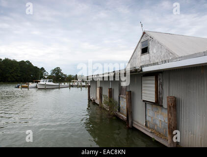 Eine alte Hütte auf Tilghman Island Maryland USA Stockfoto