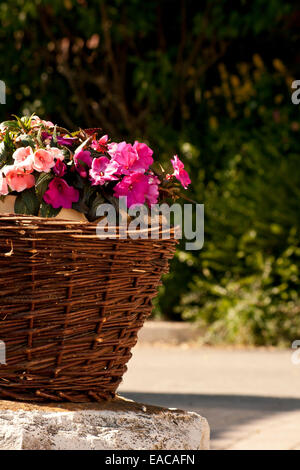 Blumen im Korb Stockfoto