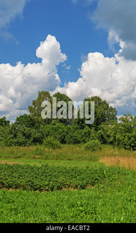 Ländlichen Gebiet und bewölktem Himmel. Stockfoto