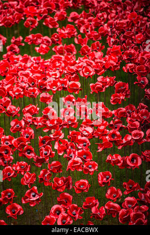 Nahaufnahme von der Keramik Mohn bei der "Blut Mehrfrequenzdarstellung Länder und Meere of Red" Installation auf dem Tower of London. Stockfoto