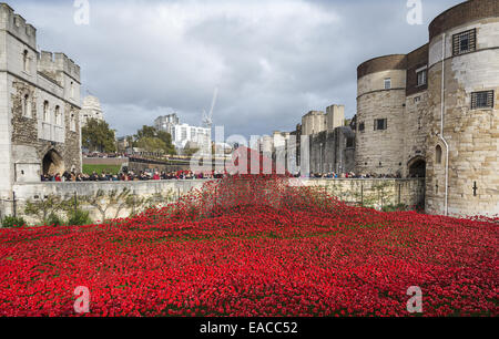 Die große Kunst Installation Blut Mehrfrequenzdarstellung Länder und Meere von rot an der Tower of London, England, UK Stockfoto