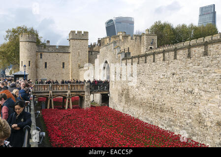 Die große Kunst Installation Blut Mehrfrequenzdarstellung Länder und Meere von rot an der Tower of London, England, UK Stockfoto