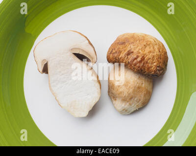 Boletus Edulis aka Cent Brötchen oder Porcino Pilz oder cep Stockfoto