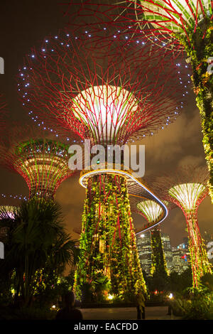 Immense Supertrees beleuchtet vor dunklen Nachthimmel in spektakulären nächtliche Anzeige in Singapurs Gardens By The Bay Stockfoto