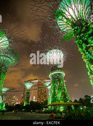 Immense Supertrees beleuchtet vor dunklen Nachthimmel in spektakuläres Feuerwerk in Singapurs Gardens By The Bay Stockfoto