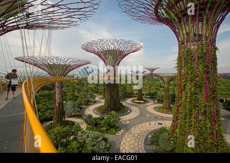 Blick vom hohen Skyway Verknüpfung immense Supertrees des Parklands & riesige Glas Wintergarten von Singapur große Gardens By The Bay Stockfoto