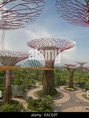 Blick auf immense "Supertrees", vertikale Gärten, Parkanlagen & Glaskuppel in Singapurs Gardens By The Bay von Skyway-Plattform Stockfoto