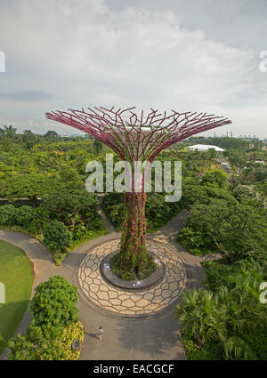 Blick auf immense "Supertree", einen vertikalen Garten & Parklands Singapurs große Gardens By The Bay von hohen Skyway-Plattform Stockfoto