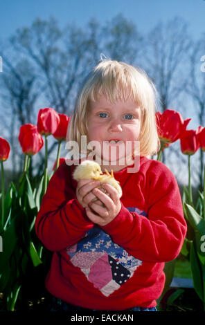 Happy Blonde Girl hält gelbe Küken vor blühenden roten Frühlingstulpen, Missouri, USA Stockfoto
