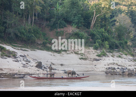 Flussufer und Boote und Elefant gebadet wird auf eine zweitägige Kreuzfahrt auf eine langsame Fähre entlang Fluss Mekong, Laos, Asien, Stockfoto