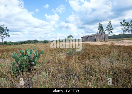 Hölzerne Kirche der strafrechtlichen Camp Ranomainty, Fort Dauphin, Provinz Toliara, Madagaskar Stockfoto