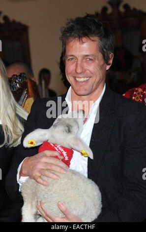 Salzburg, Österreich. 11. November 2014. Britischer Schauspieler Hugh Grant posiert mit einem Lamm auf einem traditionellen Weihnachten Display auf den Gnadenhof Gut Aiderbichl in Salzburg, Österreich. 6. Dezember 2014 wird die Show "Advent in Aiderbichl" auf der TV-Sender ORF 2 einen Bericht auf dem Weihnachts-Display übertragen. Das Tierheim ist Heimat von Tieren, die aus traurigen Situationen kommen. Bildnachweis: Dpa picture Alliance/Alamy Live News Stockfoto