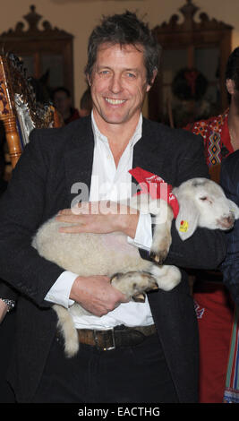 Salzburg, Österreich. 11. November 2014. Britischer Schauspieler Hugh Grant posiert mit einem Lamm auf einem traditionellen Weihnachten Display auf den Gnadenhof Gut Aiderbichl in Salzburg, Österreich. 6. Dezember 2014 wird die Show "Advent in Aiderbichl" auf der TV-Sender ORF 2 einen Bericht auf dem Weihnachts-Display übertragen. Das Tierheim ist Heimat von Tieren, die aus traurigen Situationen kommen. Bildnachweis: Dpa picture Alliance/Alamy Live News Stockfoto