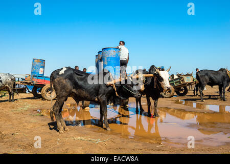 Anlegestelle der Belo Sur Tsiribihina, Morondava, Provinz Toliara, Madagaskar Stockfoto