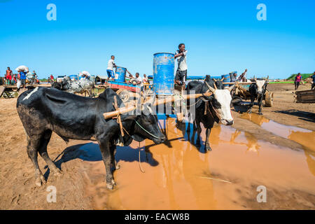 Anlegestelle der Belo Sur Tsiribihina, Morondava, Provinz Toliara, Madagaskar Stockfoto