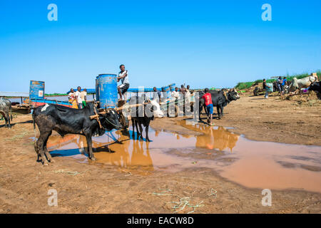 Anlegestelle der Belo Sur Tsiribihina, Morondava, Provinz Toliara, Madagaskar Stockfoto