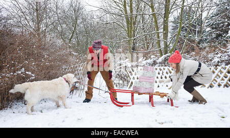 Hund zieht Schlitten mit Weihnachtsgeschenken durch Schnee im winter Stockfoto