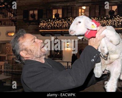 Salzburg, Österreich. 11. November 2014. Italienischer Schauspieler Franco Nero posiert mit einem Lamm auf einem traditionellen Weihnachten Display auf den Gnadenhof Gut Aiderbichl in Salzburg, Österreich. 6. Dezember 2014 wird die Show "Advent in Aiderbichl" auf der TV-Sender ORF 2 einen Bericht auf dem Weihnachts-Display übertragen. Das Tierheim ist Heimat von Tieren, die aus traurigen Situationen kommen. Bildnachweis: Dpa picture Alliance/Alamy Live News Stockfoto