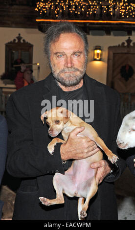 Salzburg, Österreich. 11. November 2014. Italienischer Schauspieler Franco Nero posiert mit Molly den Hund an eine traditionelle Weihnachten-Display auf den Gnadenhof Gut Aiderbichl in Salzburg, Österreich. 6. Dezember 2014 wird die Show "Advent in Aiderbichl" auf der TV-Sender ORF 2 einen Bericht auf dem Weihnachts-Display übertragen. Das Tierheim ist Heimat von Tieren, die aus traurigen Situationen kommen. Bildnachweis: Dpa picture Alliance/Alamy Live News Stockfoto