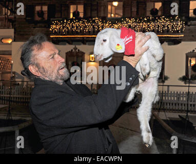 Salzburg, Österreich. 11. November 2014. Italienischer Schauspieler Franco Nero posiert mit einem Lamm auf einem traditionellen Weihnachten Display auf den Gnadenhof Gut Aiderbichl in Salzburg, Österreich. 6. Dezember 2014 wird die Show "Advent in Aiderbichl" auf der TV-Sender ORF 2 einen Bericht auf dem Weihnachts-Display übertragen. Das Tierheim ist Heimat von Tieren, die aus traurigen Situationen kommen. Bildnachweis: Dpa picture Alliance/Alamy Live News Stockfoto