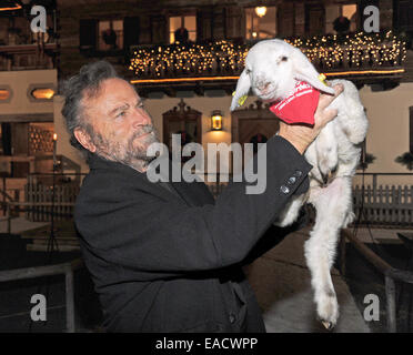 Salzburg, Österreich. 11. November 2014. Italienischer Schauspieler Franco Nero posiert mit einem Lamm auf einem traditionellen Weihnachten Display auf den Gnadenhof Gut Aiderbichl in Salzburg, Österreich. 6. Dezember 2014 wird die Show "Advent in Aiderbichl" auf der TV-Sender ORF 2 einen Bericht auf dem Weihnachts-Display übertragen. Das Tierheim ist Heimat von Tieren, die aus traurigen Situationen kommen. Bildnachweis: Dpa picture Alliance/Alamy Live News Stockfoto