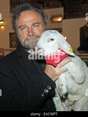 Salzburg, Österreich. 11. November 2014. Italienischer Schauspieler Franco Nero posiert mit einem Lamm auf einem traditionellen Weihnachten Display auf den Gnadenhof Gut Aiderbichl in Salzburg, Österreich. 6. Dezember 2014 wird die Show "Advent in Aiderbichl" auf der TV-Sender ORF 2 einen Bericht auf dem Weihnachts-Display übertragen. Das Tierheim ist Heimat von Tieren, die aus traurigen Situationen kommen. Bildnachweis: Dpa picture Alliance/Alamy Live News Stockfoto