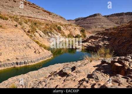 Wasser in einem Guelta Idaran Canyon, Iherir, Tassili n ' Ajjer National Park, Algerien Stockfoto