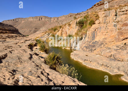 Wasser in einem Guelta in Algerien, Tassili n ' Ajjer National Park, Iherir, Idaran Canyon Stockfoto