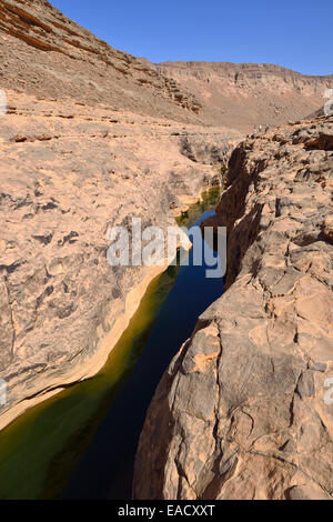 Wasser in einem Guelta Idaran Canyon, Iherir, Tassili n ' Ajjer National Park, Algerien Stockfoto