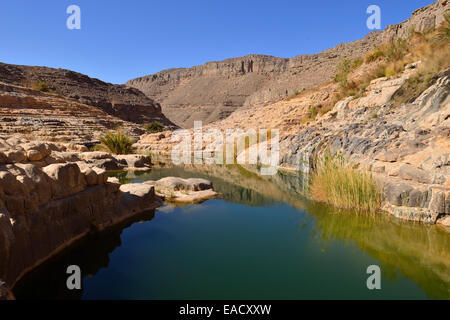 Wasser in einem Guelta Idaran Canyon, Iherir, Tassili n ' Ajjer National Park, Algerien Stockfoto