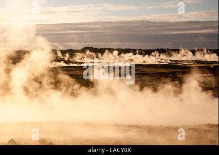 Hochtemperatur-geothermische Gebiet von Gunnuhver, Frachtlade- oder südlichen Halbinsel Reykjanes Halbinsel, Island Stockfoto