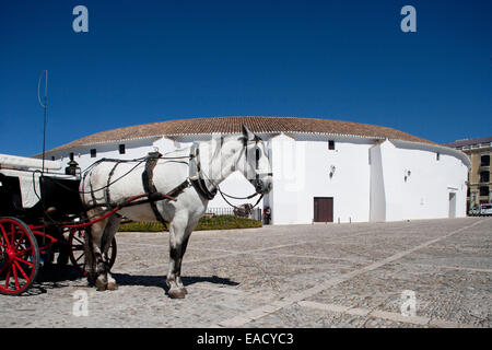 Pferdekutsche-Fahrerhaus, Stierkampfarena, die Plaza Teniente Arce, Ronda, Provinz Málaga, Andalusien, Spanien Stockfoto