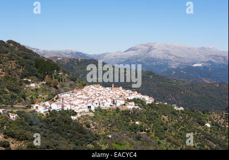 Blick auf die Stadt Algatocin, Sierra Bermeja, Provinz Málaga, Andalusien, Spanien Stockfoto