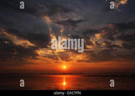 See, Sonnenaufgang, Federsee-See, in der Nähe von Bad Buchau, Baden-Württemberg, Deutschland Stockfoto