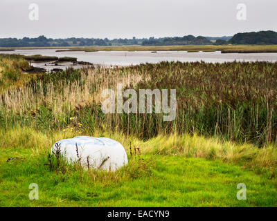 Umgedrehten Boot und Schilfgürtel in der Alde-Mündung in der Nähe von Snape Suffolk England Stockfoto