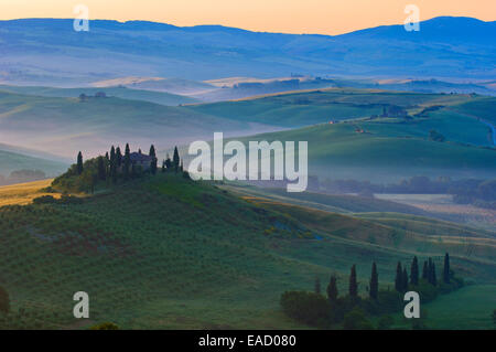 Das Belvedere, Morgennebel, bei Morgengrauen, Val d ' Orcia, oder Orcia-Tals, UNESCO-Weltkulturerbe, San Quirico d ' Orcia, Val d ' Orcia Stockfoto