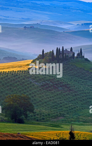 Das Belvedere, Morgennebel, bei Morgengrauen, Val d ' Orcia, oder Orcia-Tals, UNESCO-Weltkulturerbe, San Quirico d ' Orcia, Val d ' Orcia Stockfoto